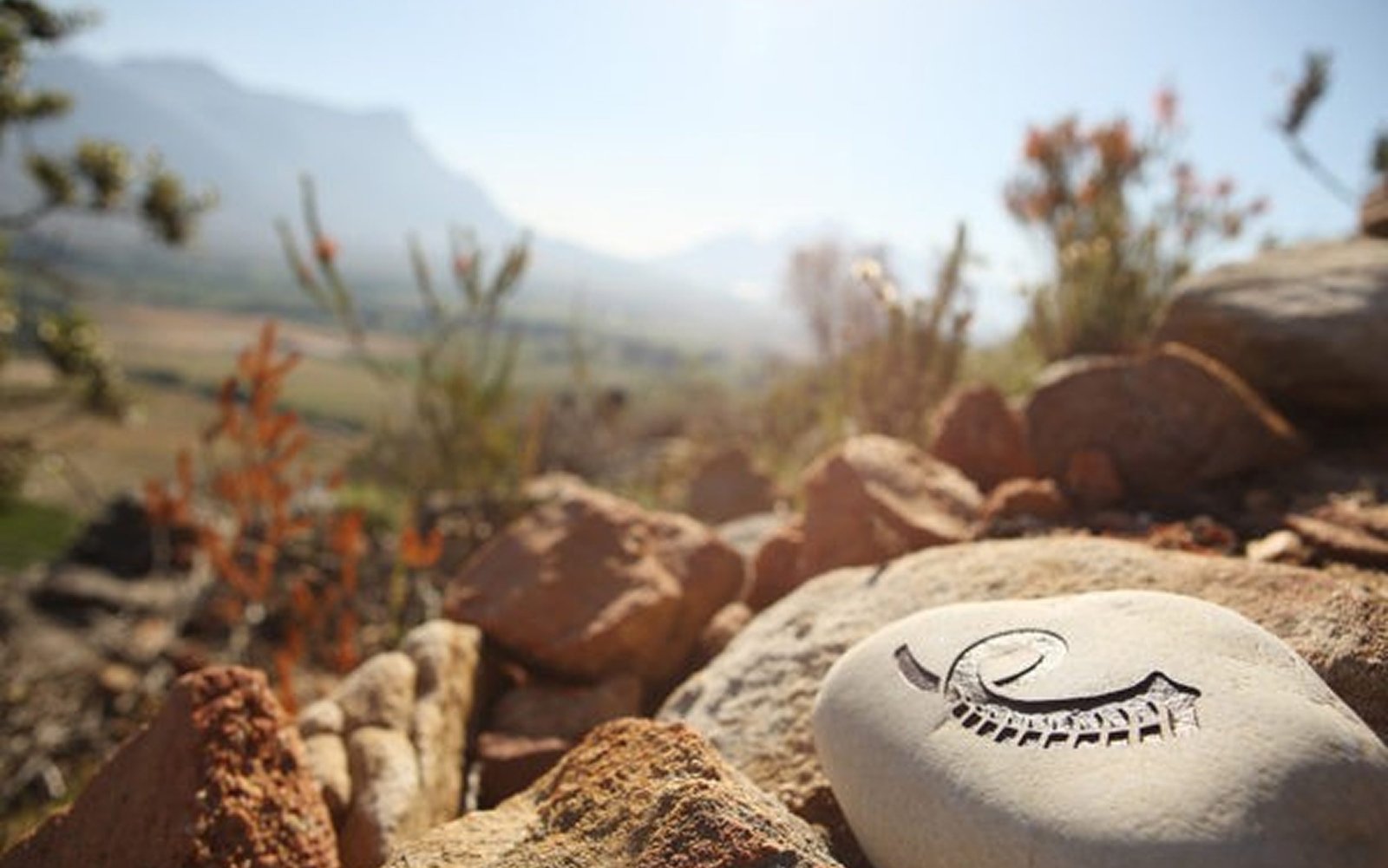 Painted stone among fynbos in the Franschhoek mountains